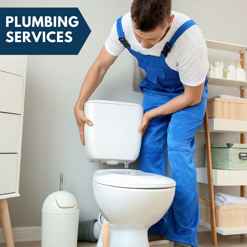Plumbing Company in Steinhatchee, FL